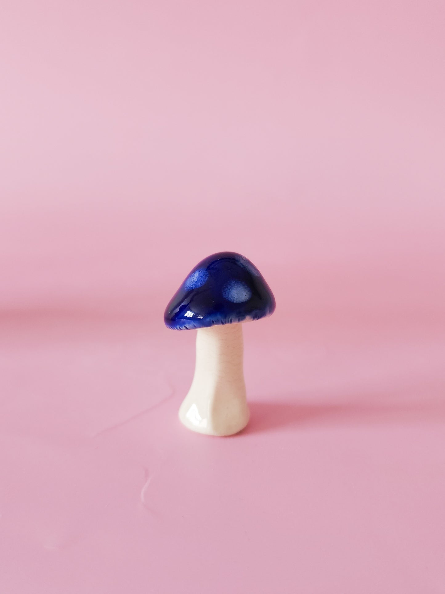 Ceramic mushroom making workshop - March 28th