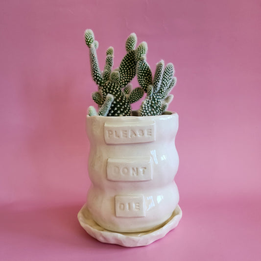 Planter making workshop - January 18th