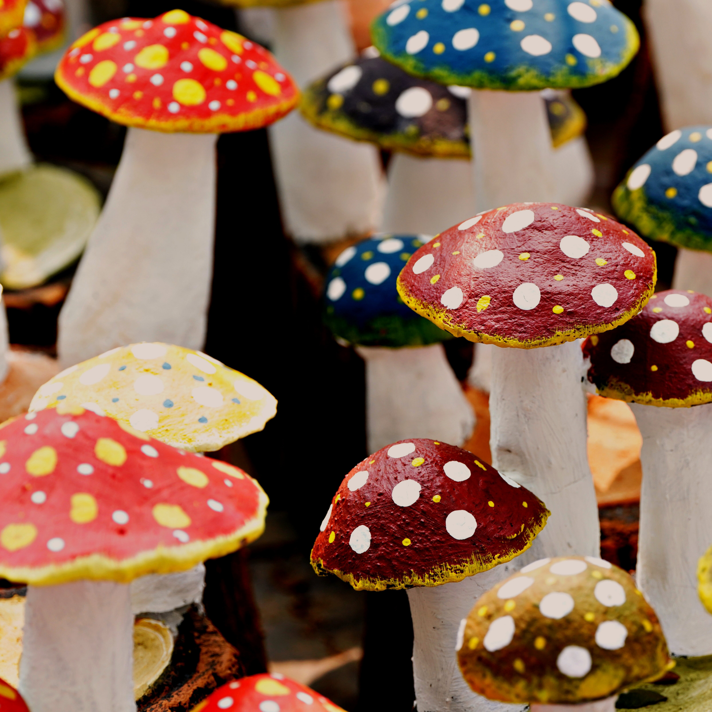 Ceramic mushroom making workshop - March 28th