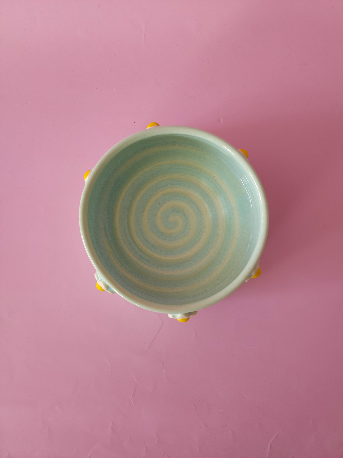 Mint green daisy dog bowl