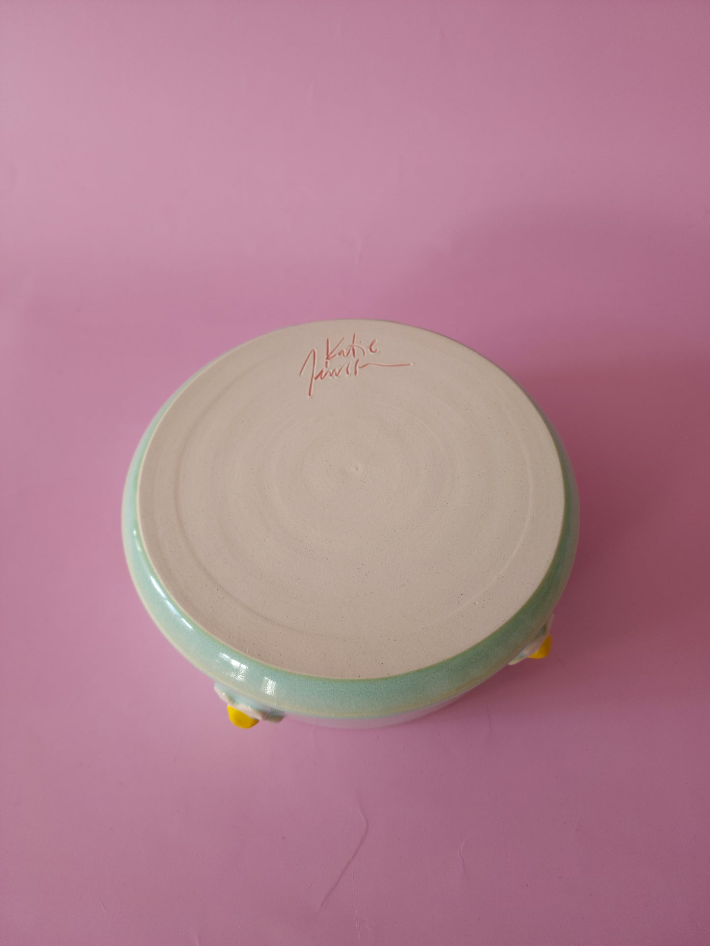 Mint green daisy dog bowl